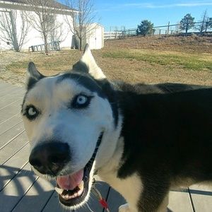 Meet your Posher, Jenniffer